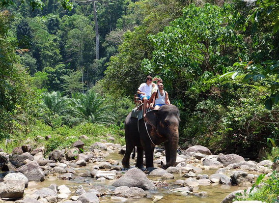 Khao Lak Nature Safari Tour 2